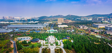 爱游戏手机平台,爱游戏（中国）,产业